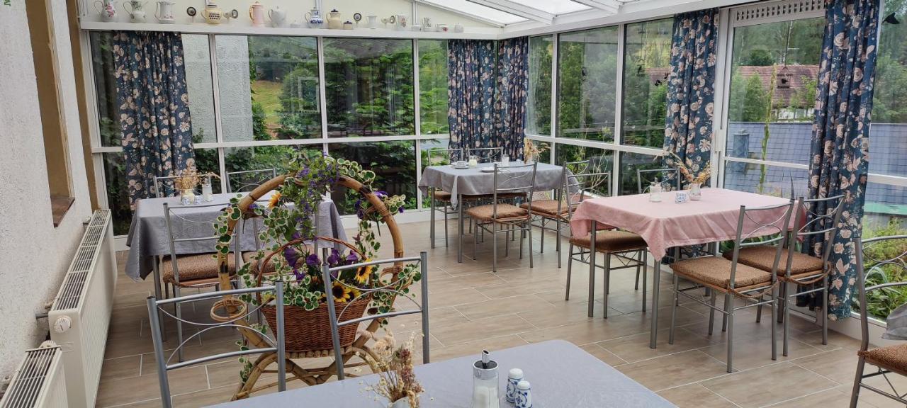 Landpension Haupt Sebnitz Exteriör bild