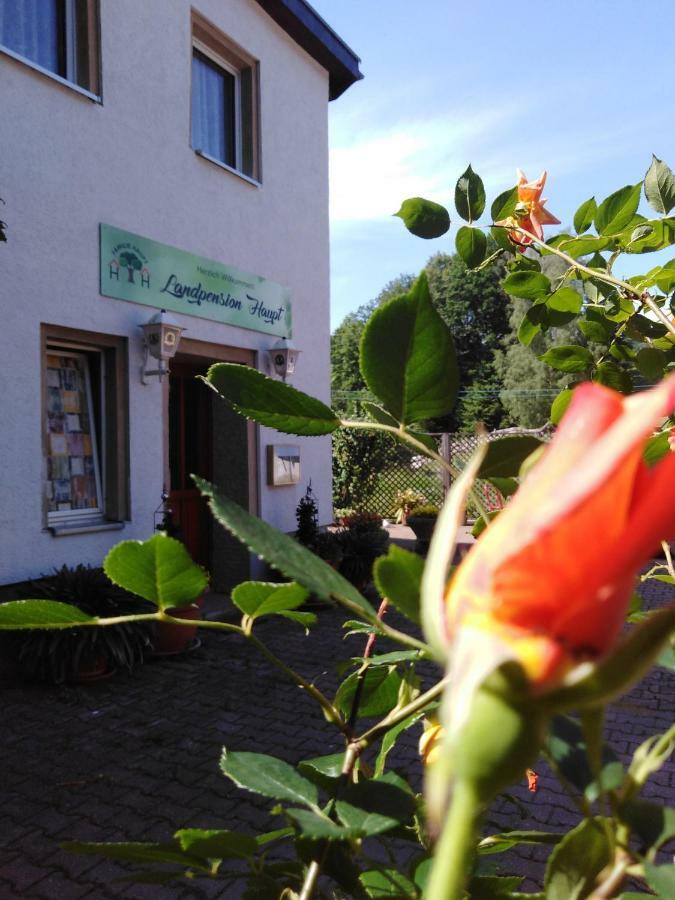 Landpension Haupt Sebnitz Exteriör bild