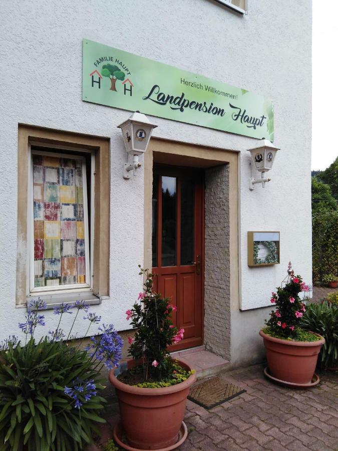 Landpension Haupt Sebnitz Exteriör bild